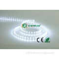 LED strip light low price /white